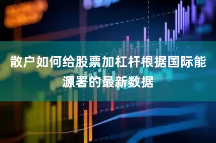 散户如何给股票加杠杆根据国际能源署的最新数据