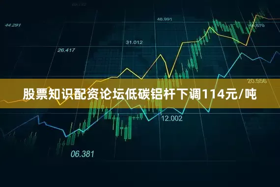 股票知识配资论坛低碳铝杆下调114元/吨