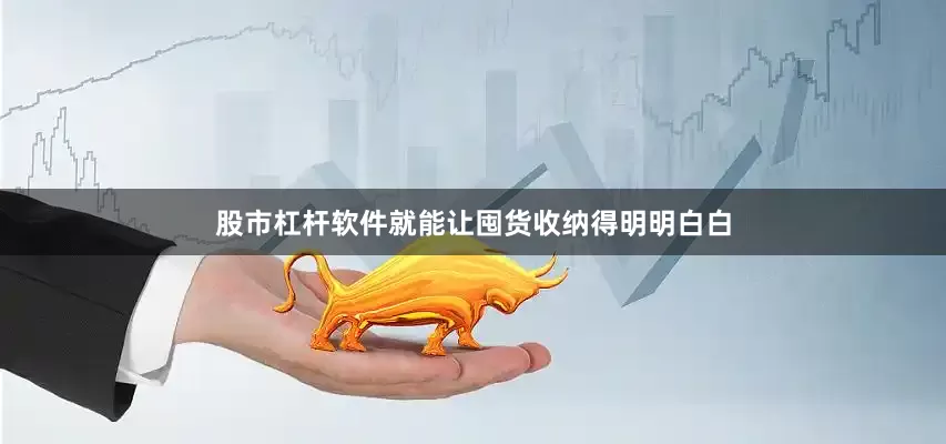 股市杠杆软件就能让囤货收纳得明明白白