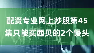 配资专业网上炒股第45集只能买西贝的2个馒头
